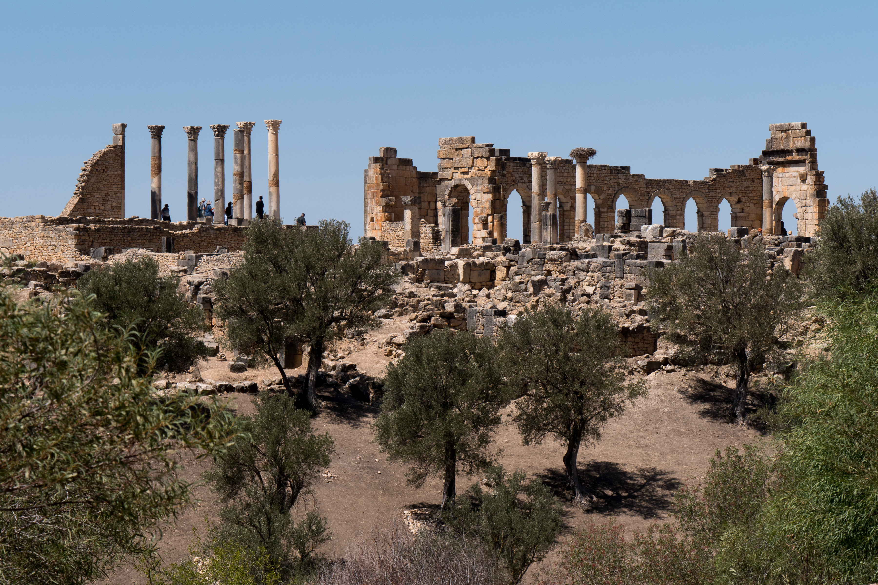Volubilis